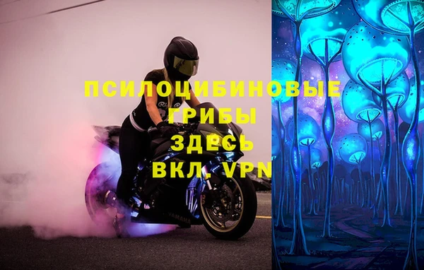 a pvp Абаза