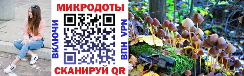 Псилоцибиновые грибы Cubensis  Тутаев 